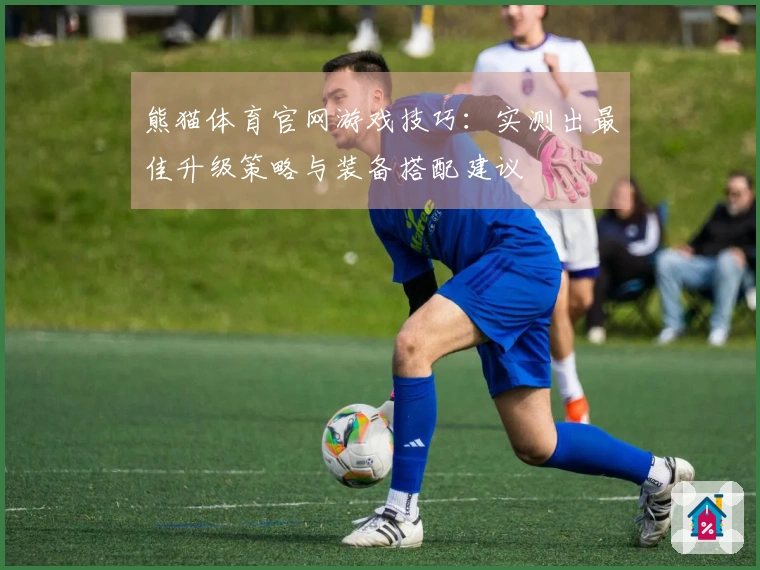 熊猫体育官网游戏技巧：实测出最佳升级策略与装备搭配建议